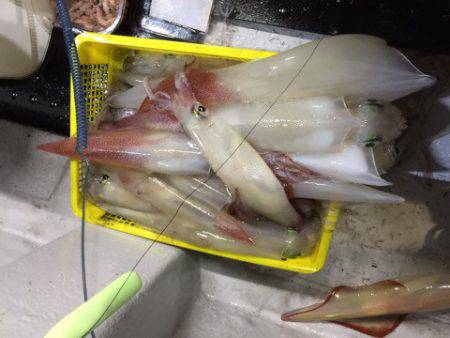 第二龍勢丸 釣果