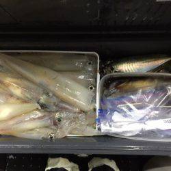 第二龍勢丸 釣果