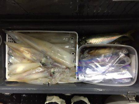 第二龍勢丸 釣果