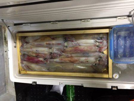 第二龍勢丸 釣果