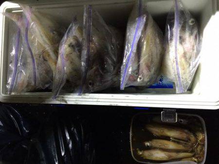 第二龍勢丸 釣果