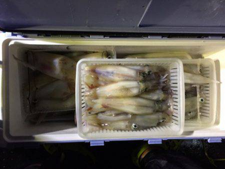 第二龍勢丸 釣果