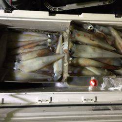 第二龍勢丸 釣果