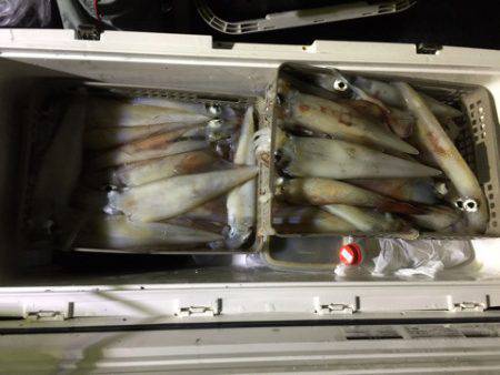 第二龍勢丸 釣果