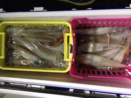 第二龍勢丸 釣果