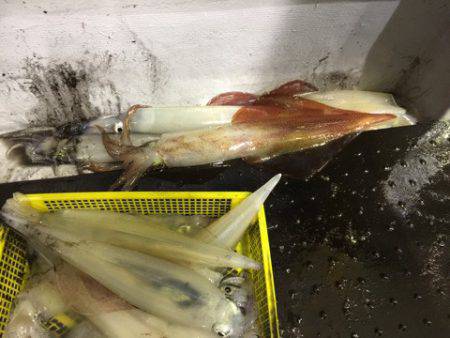 第二龍勢丸 釣果