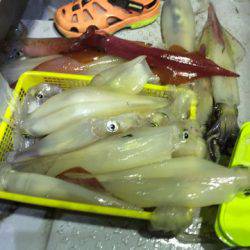 第二龍勢丸 釣果