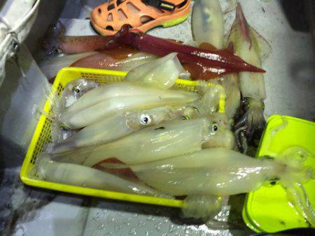 第二龍勢丸 釣果