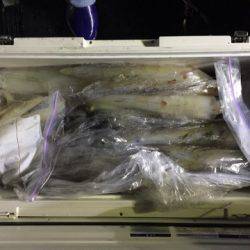 第二龍勢丸 釣果