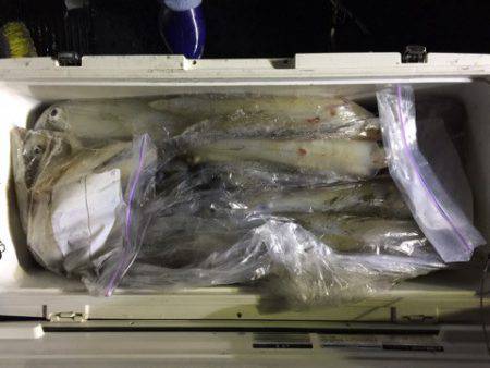 第二龍勢丸 釣果