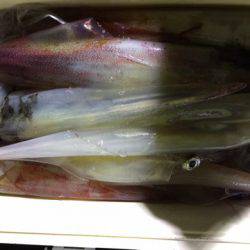 第二龍勢丸 釣果