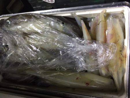 第二龍勢丸 釣果