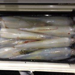 第二龍勢丸 釣果