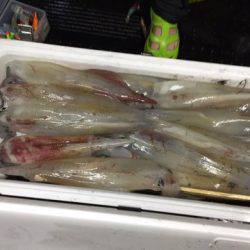 第二龍勢丸 釣果