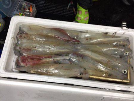 第二龍勢丸 釣果