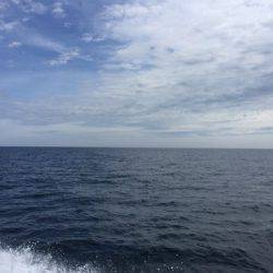 第二龍勢丸 釣果