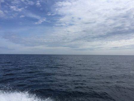 第二龍勢丸 釣果