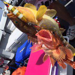 第二龍勢丸 釣果