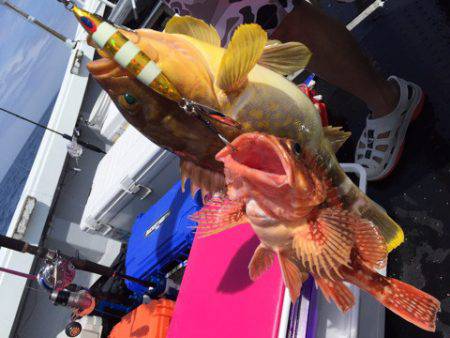 第二龍勢丸 釣果