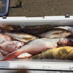 第二龍勢丸 釣果