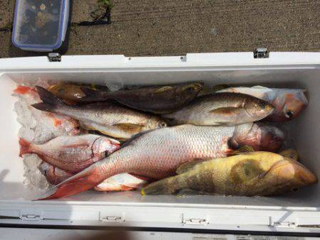 第二龍勢丸 釣果