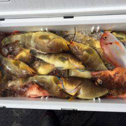 第二龍勢丸 釣果