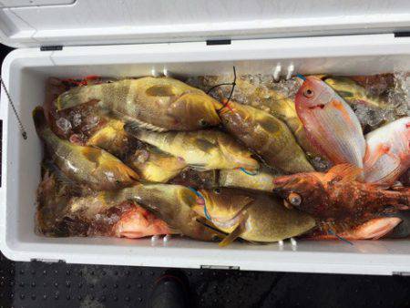 第二龍勢丸 釣果