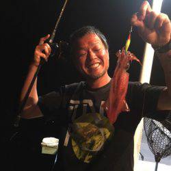 ＴＡＲＯＭＡＲＵ 釣果