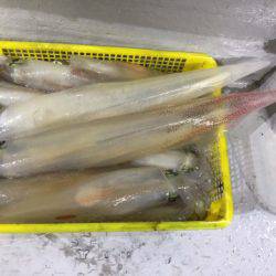 第二龍勢丸 釣果