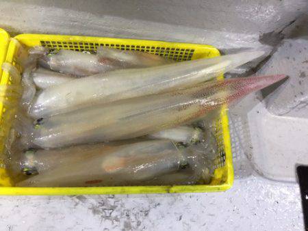 第二龍勢丸 釣果