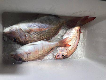 Monster Rush! 釣果