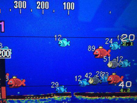 末広丸(熊本) 釣果