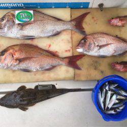 末広丸(熊本) 釣果