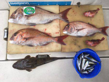 末広丸(熊本) 釣果