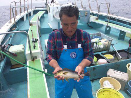 丸万釣船 釣果