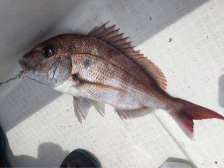 「LaGooN」蒼陽丸 日和号 釣果
