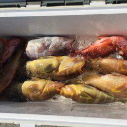 第二龍勢丸 釣果