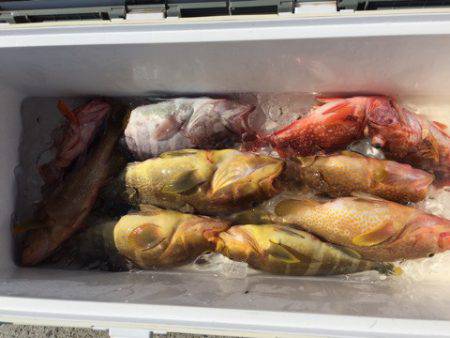 第二龍勢丸 釣果