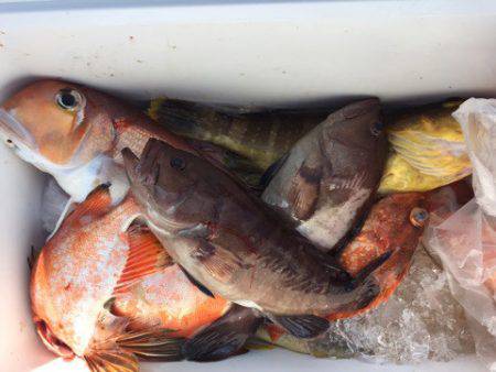 第二龍勢丸 釣果