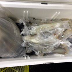 第二龍勢丸 釣果