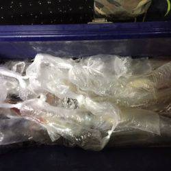 第二龍勢丸 釣果