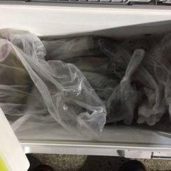 第二龍勢丸 釣果