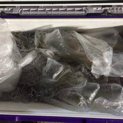 第二龍勢丸 釣果