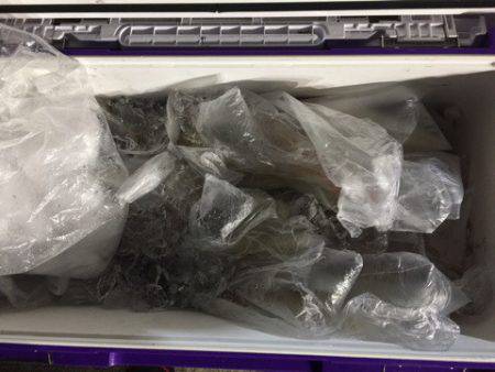 第二龍勢丸 釣果