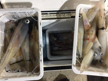 第二龍勢丸 釣果