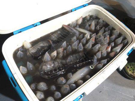 ＴＡＲＯＭＡＲＵ 釣果