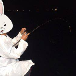 ＴＡＲＯＭＡＲＵ 釣果