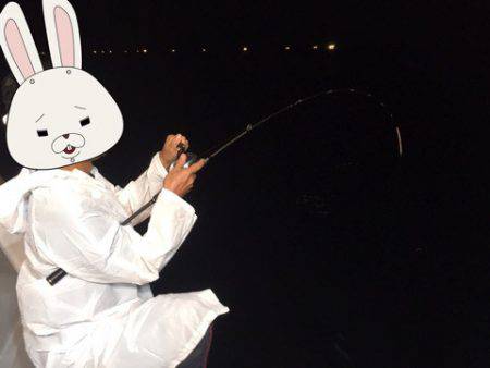 ＴＡＲＯＭＡＲＵ 釣果