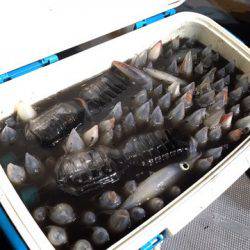 ＴＡＲＯＭＡＲＵ 釣果