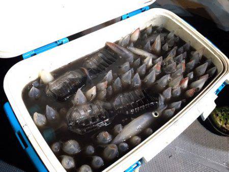 ＴＡＲＯＭＡＲＵ 釣果